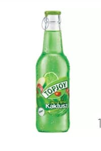 TopJoy 0,25l-Kaktusz